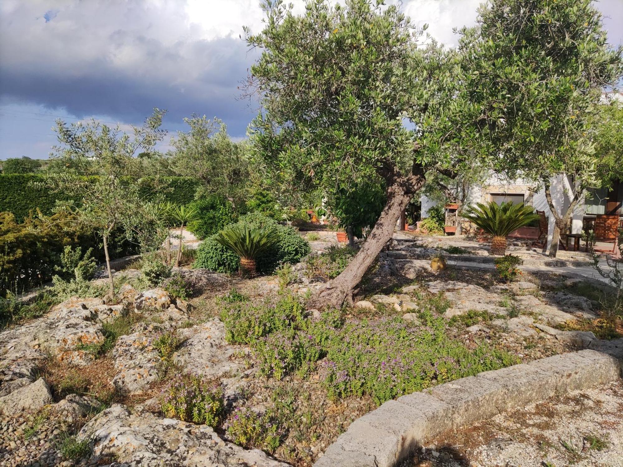 Villa Giulia B&B Кастелана Гроте Екстериор снимка